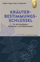 Wilhe Boberfeld, Wilhelm O Boberfeld, Wilhelm Opitz von Boberfeld, Marti Elsässer, Martin Elsäßer, Erns Klapp... - Kräuterbestimmungsschlüssel für die häufigsten Grünland- und Rasenkräuter
