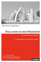 Detle Pollack, Detlef Pollack, Gergely Rosta - Religion in der Moderne
