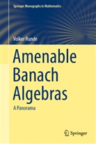 Volker Runde - Amenable Banach Algebras