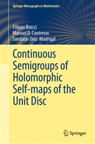 Filipp Bracci, Filippo Bracci, Manuel Contreras, Manuel D Contreras, Manuel D. Contreras, Diaz-Madrigal... - Continuous Semigroups of Holomorphic Self-maps of the Unit Disc