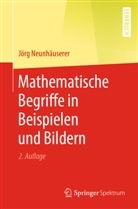 Jörg Neunhäuserer - Mathematische Begriffe in Beispielen und Bildern