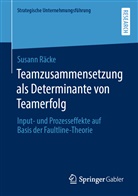 Susann Räcke - Teamzusammensetzung als Determinante von Teamerfolg