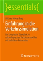 Michael Moltenbrey - Einführung in die Verkehrssimulation