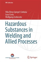Luc Costa, Luca Costa, Vilia Elen Spiegel-Ciobanu, Vilia Elena Spiegel-Ciobanu, Zschiesch, Wolfgang Zschiesche - Hazardous Substances in Welding and Allied Processes
