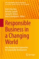 Nichola Capaldi, Nicholas Capaldi, Belén Díaz Díaz, Samuel O Idowu, Samuel O. Idowu, Samuel O Idowu et al... - Responsible Business in a Changing World