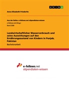 Anna Elisabeth Friederitz - Landwirtschaftlicher Wasserverbrauch und seine Auswirkungen auf den Ernährungszustand von Kindern in Punjab, Pakistan