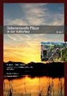 Reinhard Hailer, Willy Hailer, Reinhar Haiplik, Reinhard Haiplik, Willy Hailer, Galli Verlag - Geheimnisvolle Plätze in der Hallertau / Heimatliche Exkursionen zwischen Glonn, Amper, Donau, Ilm u - 3: Geheimnisvolle Plätze in der Hallertau