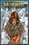 Danny Bland, Brian Haberlin, Christina Z., David Finch, David Wohl, Warren Ellis... - The Complete Witchblade Volume 1