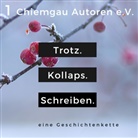 Literaturverei Chiemgau-Autoren, Literaturverein Chiemgau-Autoren - Trotz. Kollaps. Schreiben.