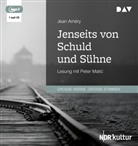 Jean Améry, Peter Matic, Peter Matić - Jenseits von Schuld und Sühne, 1 Audio-CD, 1 MP3 (Hörbuch)