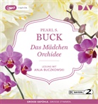 Pearl S Buck, Pearl S. Buck, Anja Buczkowski - Das Mädchen Orchidee, 2 Audio-CD, 2 MP3 (Audiolibro)