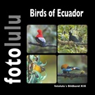 fotolulu - Birds of Ecuador