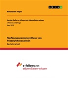 Konstantin Pieper - Fünfkomponentensynthese von Triazolylchinoxalinen