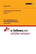 Manuel Anhold - Vor- und Nachteile von Marketingorganisationen