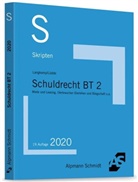 Tobia Langkamp, Tobias Langkamp, Jan S. Lüdde, Jan Stefan Lüdde - Skript Schuldrecht BT 2