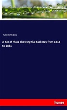 Anonymous - A Set of Plans Showing the Back Bay from 1814 to 1881