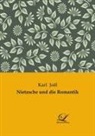 Karl Joël - Nietzsche und die Romantik