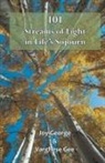 Varghese Gee, Joy George - 101 Streams of Light in Life's Sojourn
