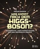 Pauline Gagnon - Was kommt nach dem Higgs-Boson?