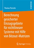 Thomas Pursche - Berechnung gesicherter Einzugsgebiete für nichtlineare Systeme mit Hilfe von Bézout-Matrizen