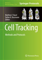 Matthe Basel, Matthew Basel, Matthew T Basel, Matthew T. Basel, Bossmann, Stefan Bossmann... - Cell Tracking