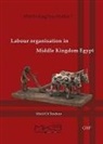 Micol Di Teodoro, Micòl Di Teodoro - Labour Organisation in Middle Kingdom Egypt