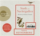 David Rothenberg, Eva Mattes, Julian Mehne - Stadt der Nachtigallen, 1 Audio-CD (Audio book)