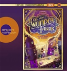Stefanie Gerstenberger, Carolin Sophie G&ouml;bel - Die Wunderfabrik - Keiner darf es wissen!, 1 Audio-CD, 1 MP3 (Audiolibro)