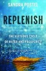 Sandra Postel, Postel Sandra - Replenish