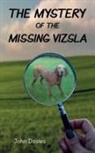 John Davies - The Mystery of the Missing Vizsla