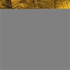 Hans-Joachim Eckstein - Du bist mir so wertvoll, Audio-CD (Audio book)