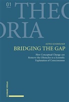 Astrid Schomäcker - Bridging the Gap