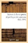 Collectif, Honoré de Balzac, Grandville, J J Grandville, Jules Janin, Charles Nodier... - Scenes de la vie privee et
