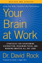 David Rock - Your Brain At Work