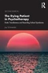 Joy Schaverien - Dying Patient in Psychotherapy