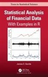 James Gentle, James (George Mason University) Gentle, James E. Gentle - Statistical Analysis of Financial Data