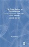 Joy Schaverien - Dying Patient in Psychotherapy