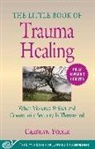 Carolyn Yoder - The Little Book of Trauma Healing: Revised & Updated