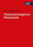 Tobias Keiling, Tobia Keiling (Dr.) - Phänomenologische Metaphysik