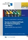Krahl, Jürgen Krahl, Ola Schröder, Olaf Schröder - Survey on Advanced Fuels for Advanced Engines