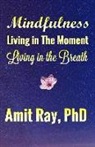 Amit Ray - Mindfulness: Living in the Moment Living in the Breath