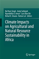 Nyambilila A Amuri et al, Nyambilila A. Amuri, Lars Olav Eik, Rattan Lal, And Safalaoh, Andy Safalaoh... - Climate Impacts on Agricultural and Natural Resource Sustainability in Africa