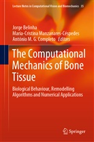 Jorge Belinha, Anto Completo, Antó Completo, Antonio Completo, António Completo, António M. G. Completo... - The Computational Mechanics of Bone Tissue