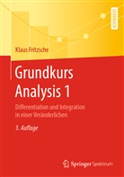 Klaus Fritzsche - Grundkurs Analysis 1