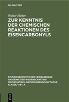 Walter Hieber - Zur Kenntnis der chemischen Reaktionen des Eisencarbonyls