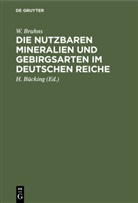 W. Bruhns, Willy Bruhns, [Begr ] Dechen, Hugo [Mitarb ] Bücking, H. Bücking - Die nutzbaren Mineralien und Gebirgsarten im Deutschen Reiche