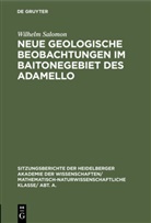 Wilhelm Salomon - Neue geologische Beobachtungen im Baitonegebiet des Adamello