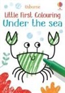 Kirsteen Robson, Robson Kirsteen, Jenny Brown - Little First Colouring Under the Sea