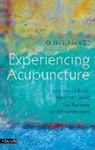 JOHN HAMWEE - Experiencing Acupuncture