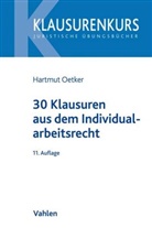 Hartmut Oetker - 30 Klausuren aus dem Individualarbeitsrecht